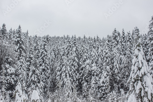 Winter nature mountain landscape