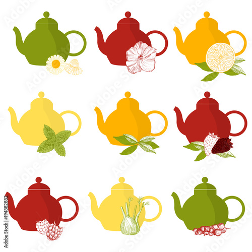 Herbal tea.Teapots. Vector   illustration.