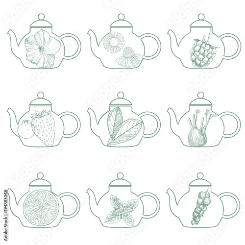 Herbal tea.Teapots. Vector   illustration.