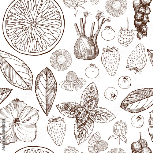 Herbal tea. Vector seamless pattern