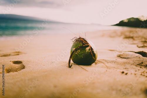 Maui Coconut