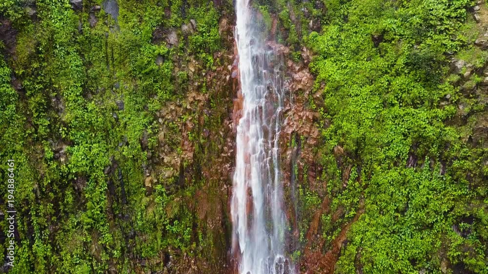 cascade dans la jungle tropicale cascade dans la jungle tropicale