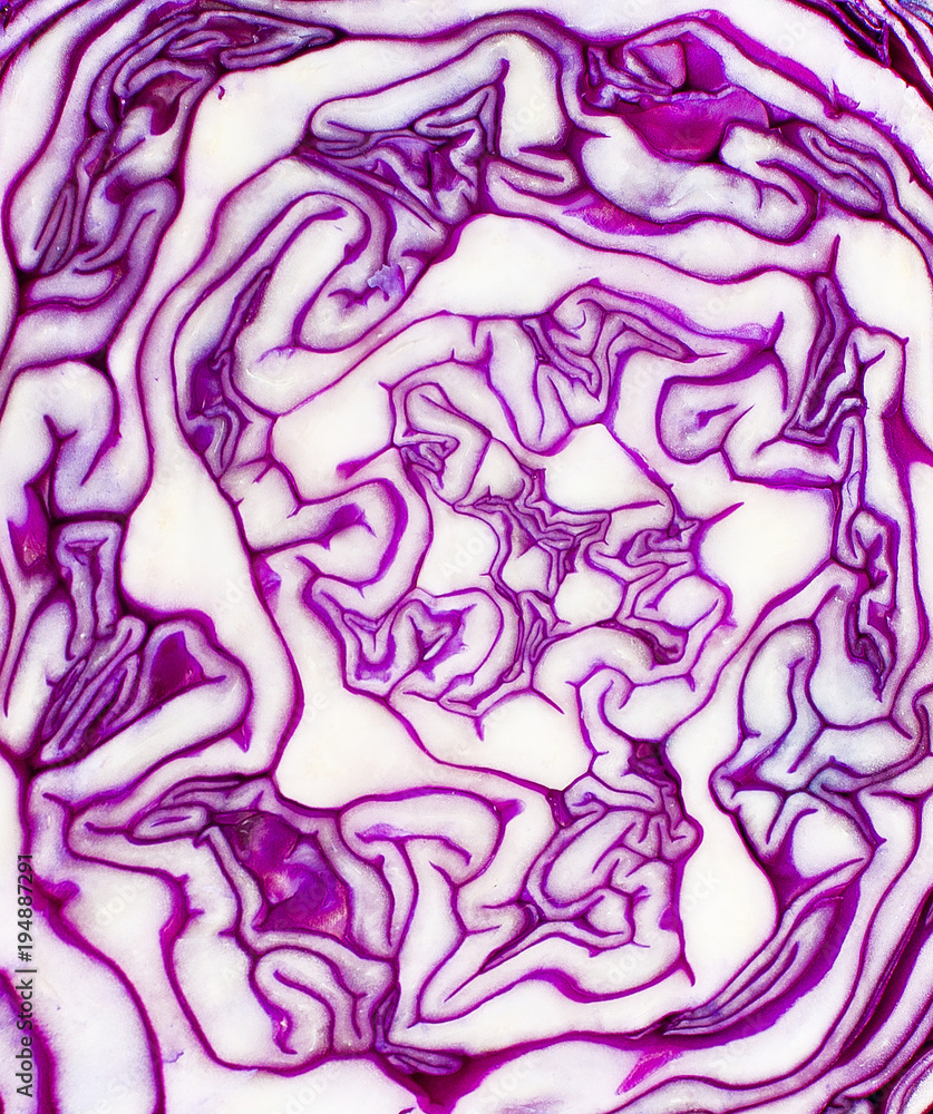 Obraz premium the red cabbage