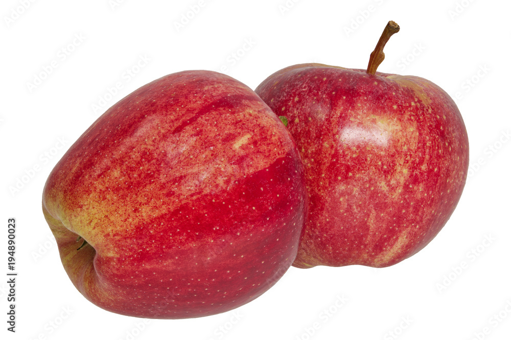 Red apples on a white background Red apples on a white background