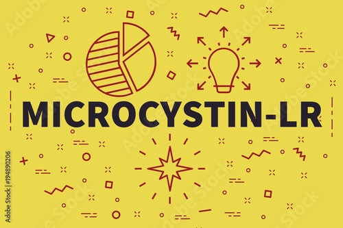 Conceptual business illustration with the words microcystin-lr photo