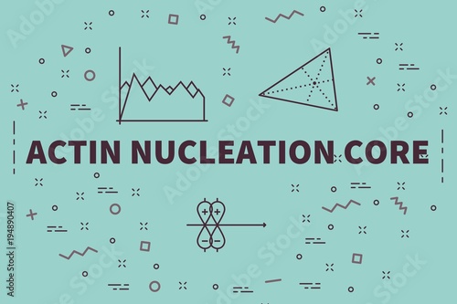 Conceptual business illustration with the words actin nucleation core photo