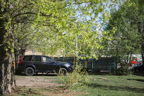 Spring nature. Leaves and bushes with the first green leaves in  © alexkich