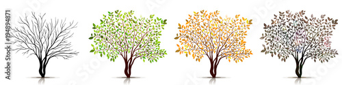 Seasons of tree vector