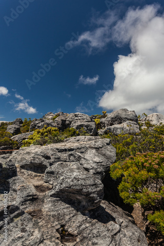 View of the Landscape on the Table Mountain in Cape Town, South Africa on a sunny Day with blue Sky