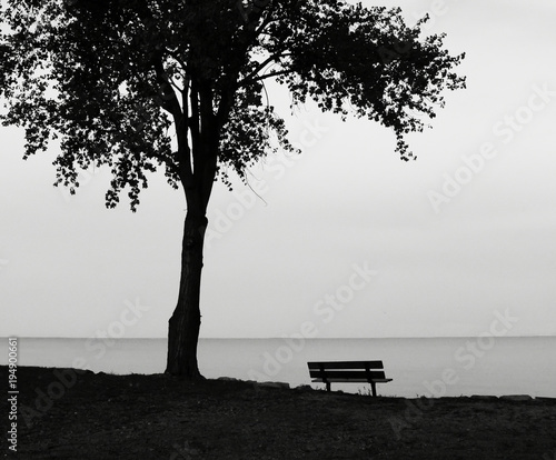 A view of the lake