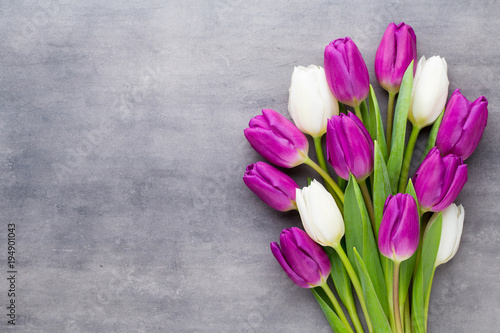 Fototapeta Naklejka Na Ścianę i Meble -  Multicolored spring flowers, tulip on a gray background.
