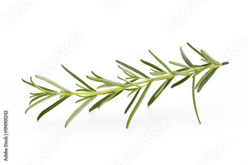 Rosemary isolated on white background  Top view.