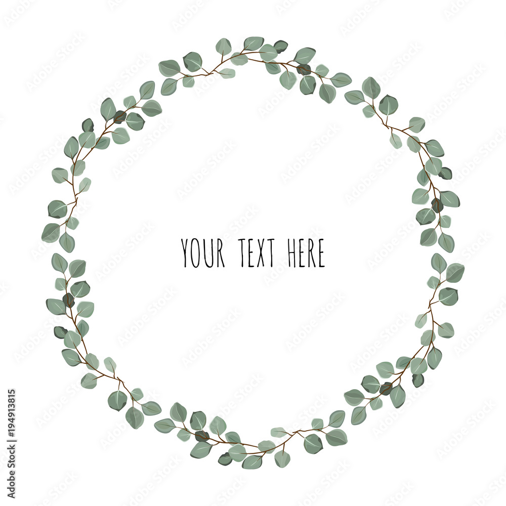 vector frame made of eucalyptus branches on white background. Flat lay, top view vector frame made of eucalyptus branches on white background. Flat lay, top view
