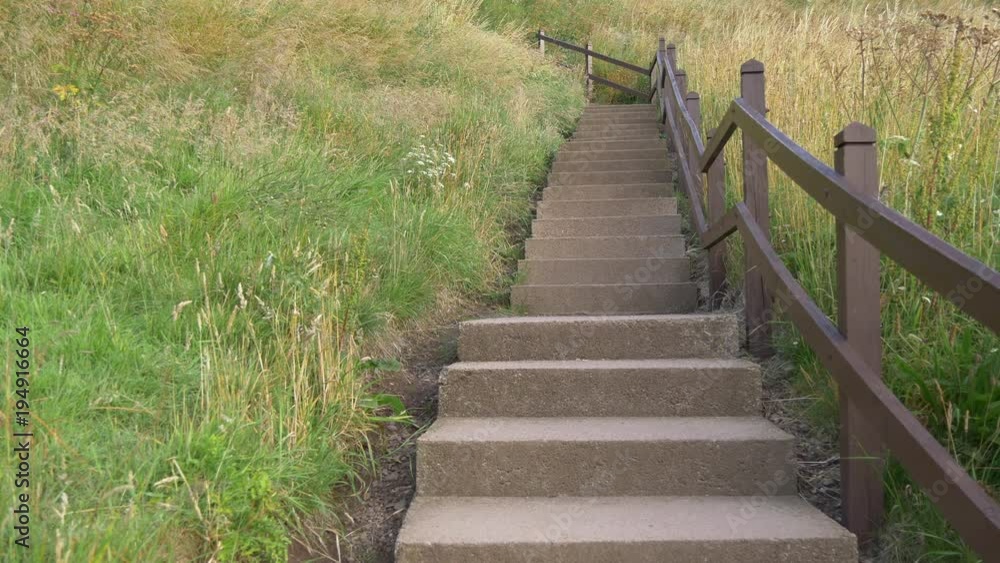 Concrete stairs and grass Concrete stairs and grass