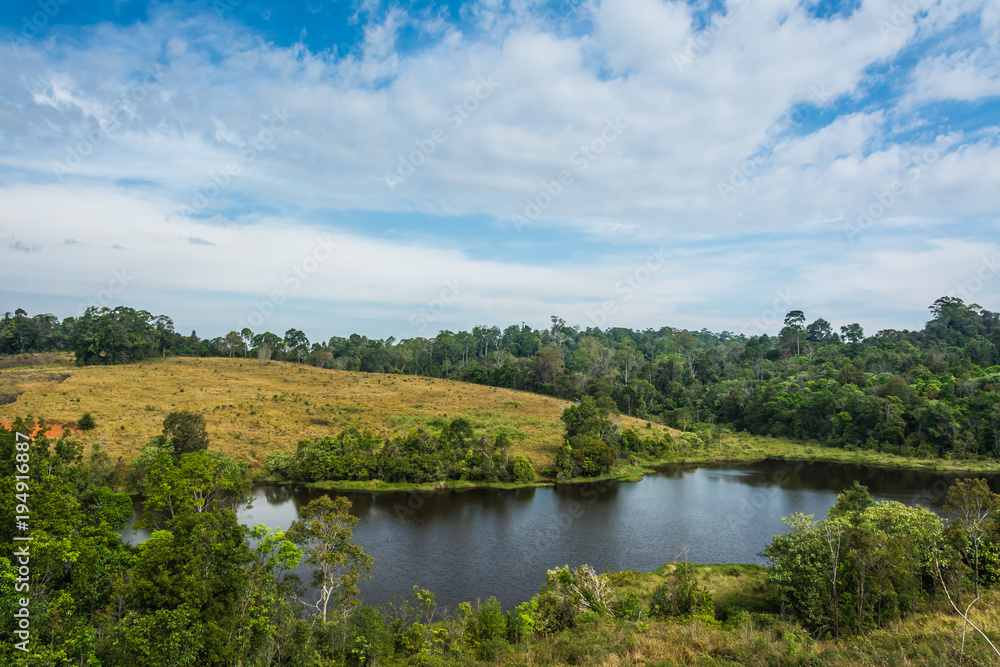 landscape of  Meadow with tree , Khao Yai National Park  Thailand