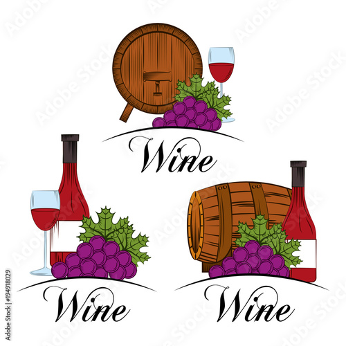 wine collection beverage liquor grape bottle and barrel vector illustration