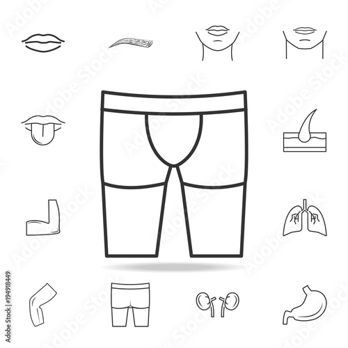 Men briefs boxers icon. Detailed set of human body part icons. Premium quality graphic design. One of the collection icons for websites, web design, mobile app photo