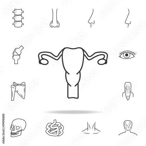 Gynecology icon uterus. Detailed set of human body part icons. Premium quality graphic design. One of the collection icons for websites, web design, mobile app