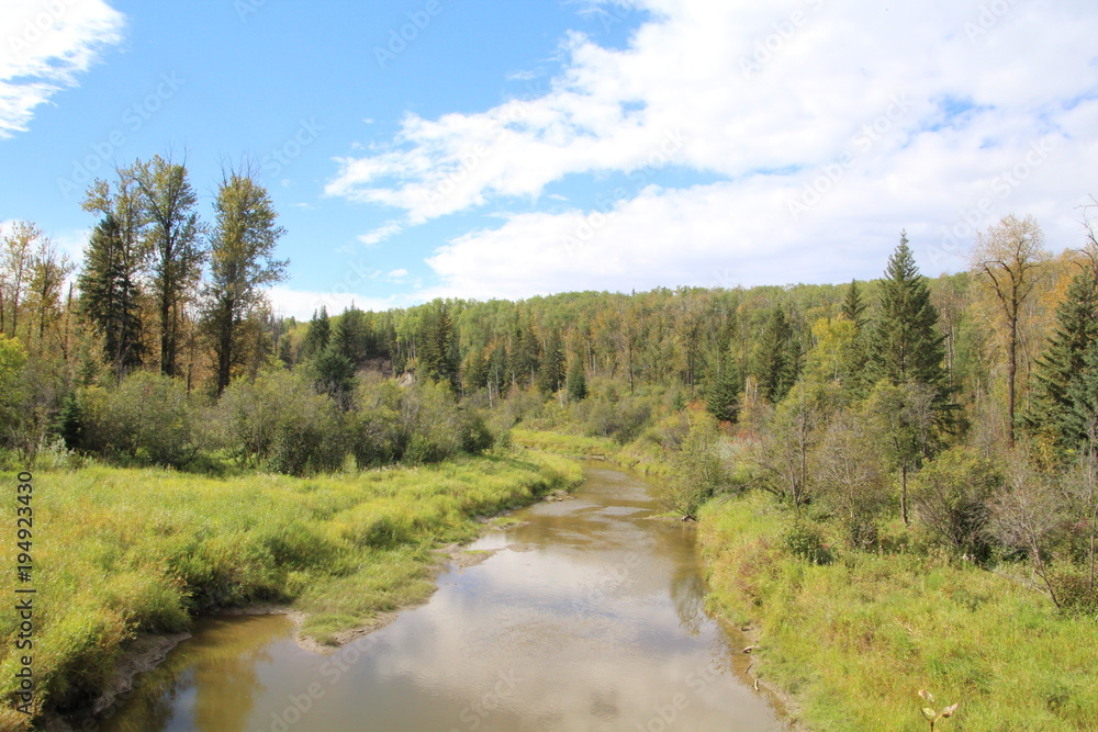 Late Summer On The Creek, Whitemud Park, Edmonton, Alberta Late Summer On The Creek, Whitemud Park, Edmonton, Alberta