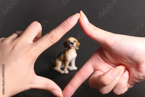 指フレームと子犬