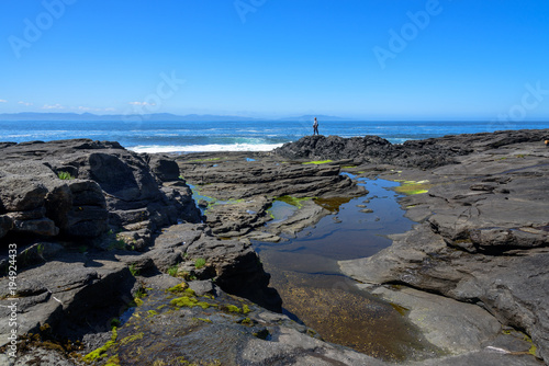 Botanical Beach with the View Of Mountain Ranges, with Blue Sky and Low Tide, British Columbia © Yaya Ernst