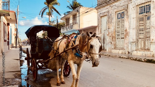 Voyage à Cardenas, Cuba
