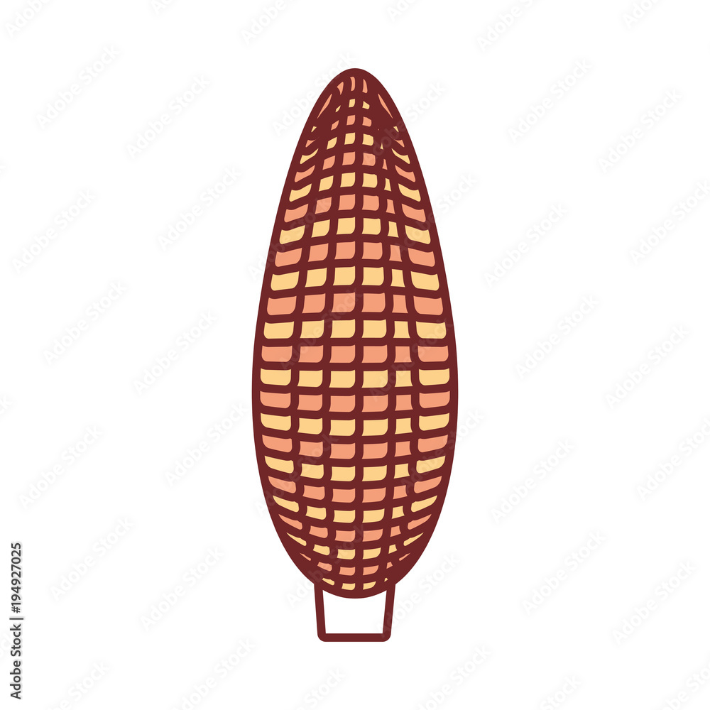 flat line  colored corn  over white background vector illustration