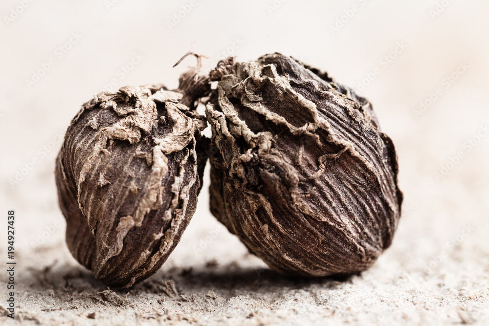 Black cardamom two pieces indian spice Black cardamom two pieces indian spice