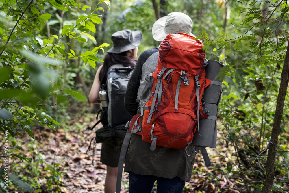 Trekking in a forest Trekking in a forest