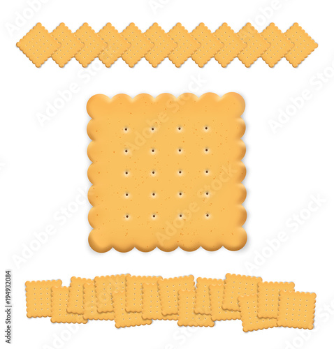 Set of cookie isolated on white background. Vector illustration. Can be use for your design, presentation, promo. EPS10
