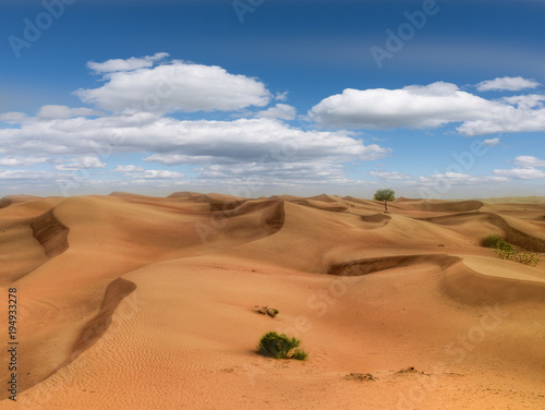 Fototapeta Naklejka Na Ścianę i Meble -  Desert Dunes with clouds