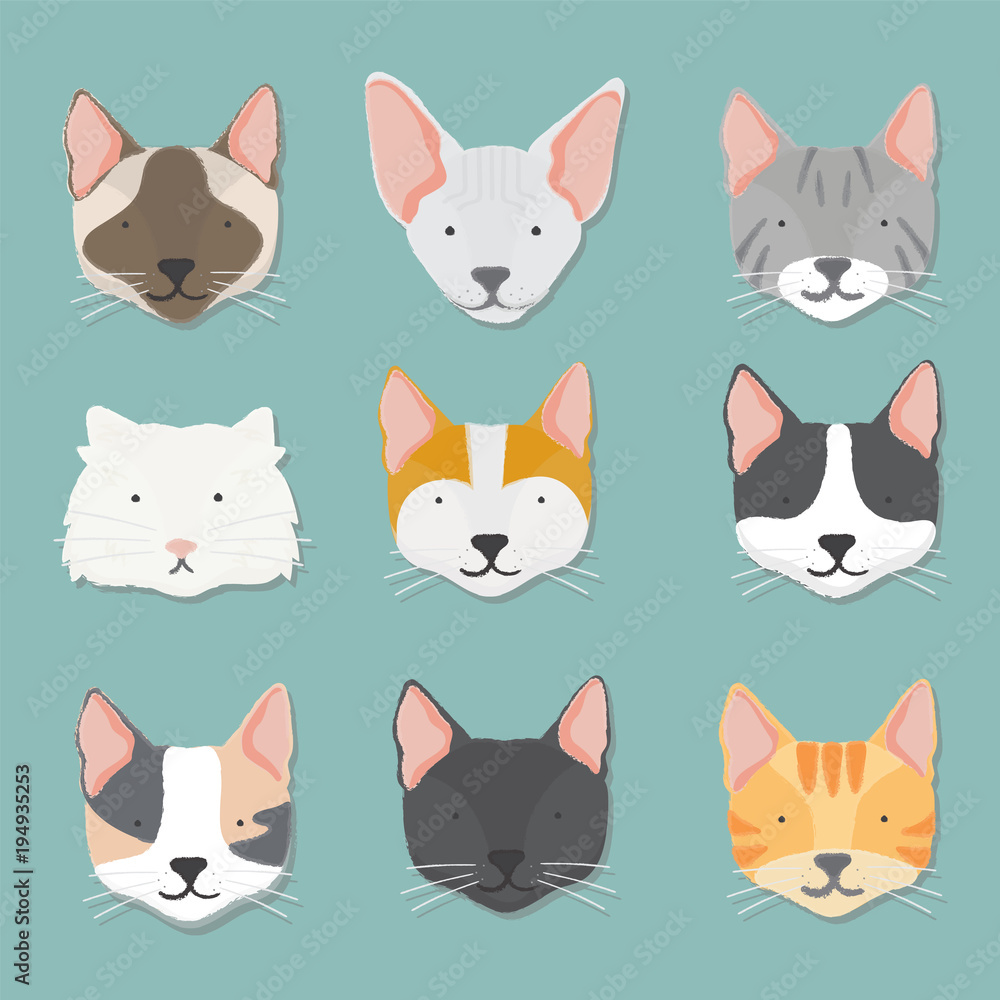 Illustration of cat faces Illustration of cat faces
