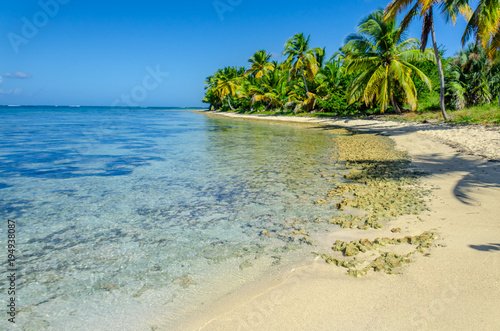 Fototapeta Naklejka Na Ścianę i Meble -  tropical beach with transparent ocean water, palm grove, stones
