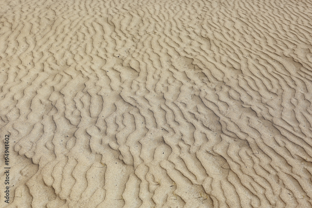 texture desert land sand dunes barkhans, deserts texture desert land sand dunes barkhans, deserts