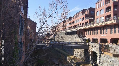 Tree In Front Of Bridge And Buildings - Static photo