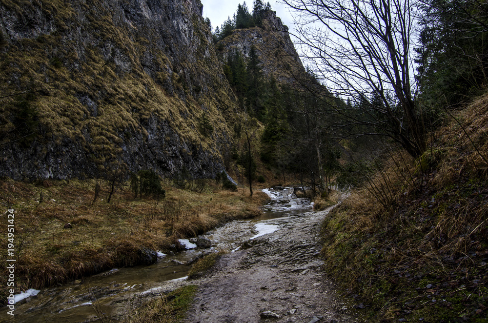 Fototapeta premium wodospad 