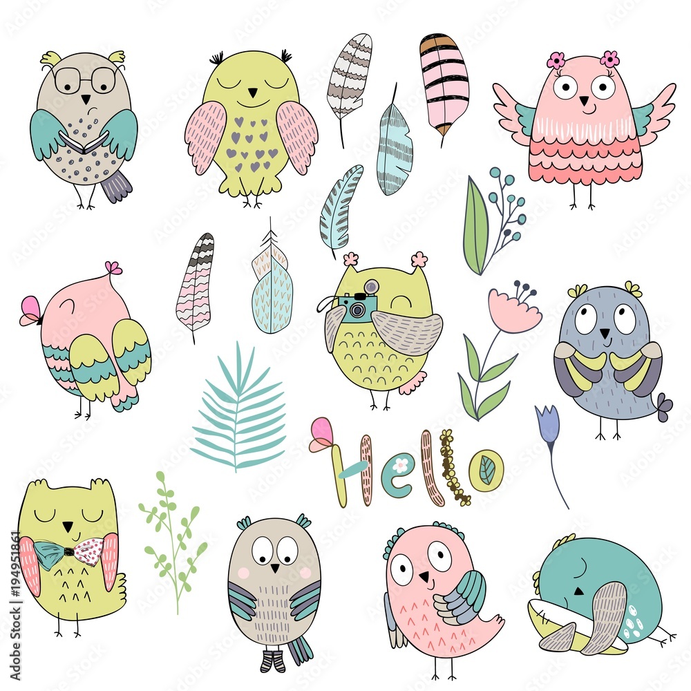 Naklejka premium Vector Set of cartoon cute isolated owls, feathers and plant.