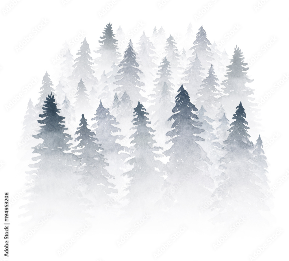 Spruce forest shrouded in mist. Watercolor illuatration isolated on white background.