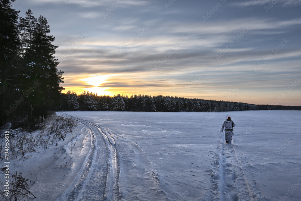 Fototapeta premium winter hunting