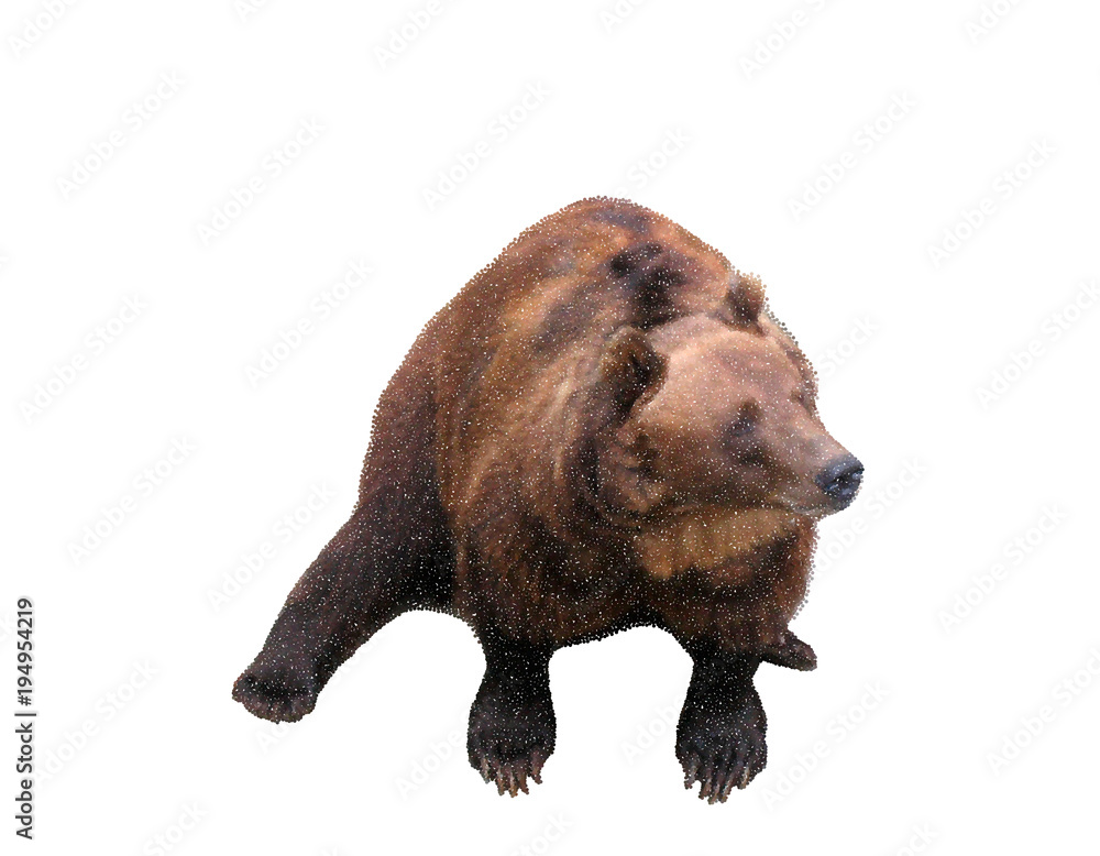 Fototapeta premium Bear. Isolated on white background. Vector illustration.