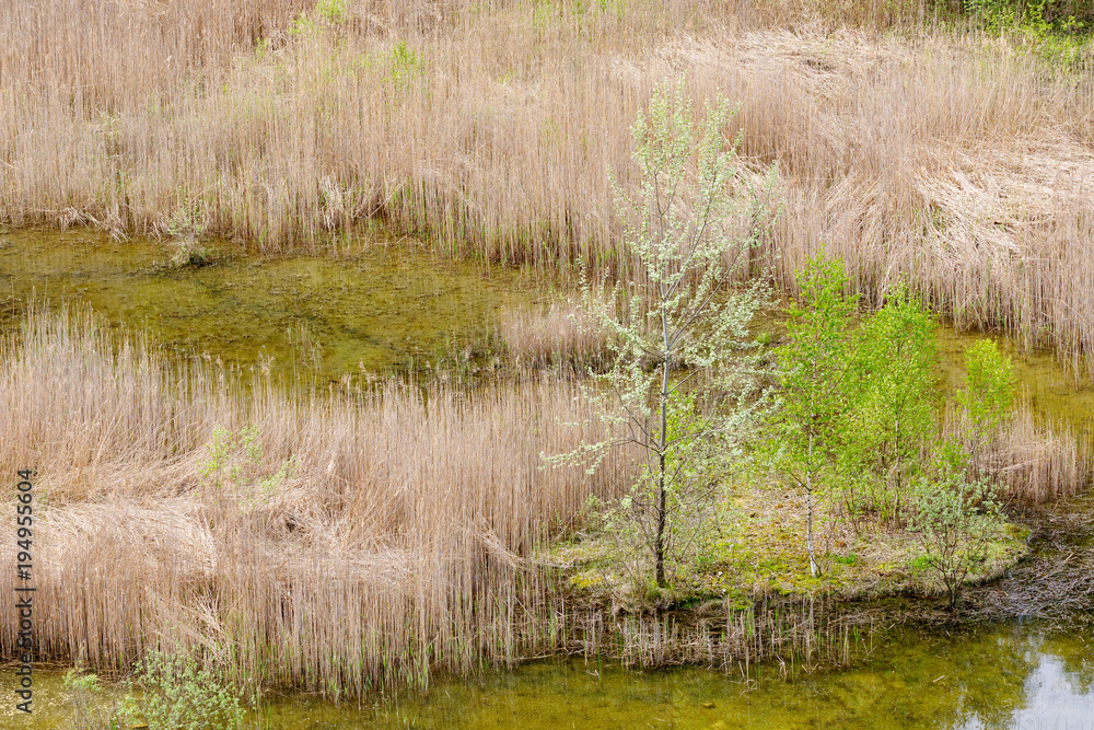 abandoned flooded quarry, Czech republic abandoned flooded quarry, Czech republic