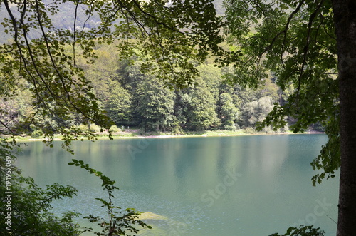 Fototapeta Naklejka Na Ścianę i Meble -  Озеро среди деревьев