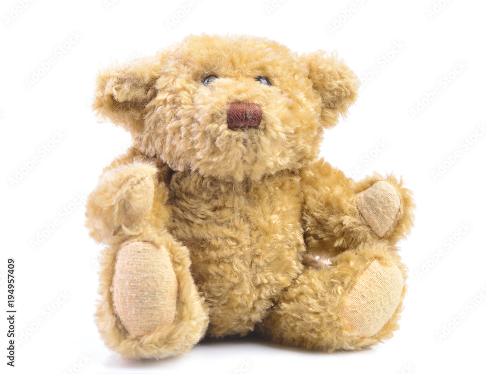 Obraz premium Miś na białym tle na białym tle