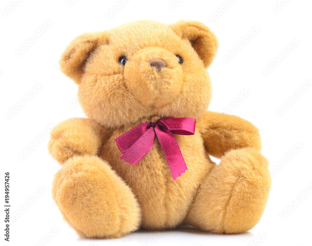 Obraz premium Teddy bear isolated on a white background
