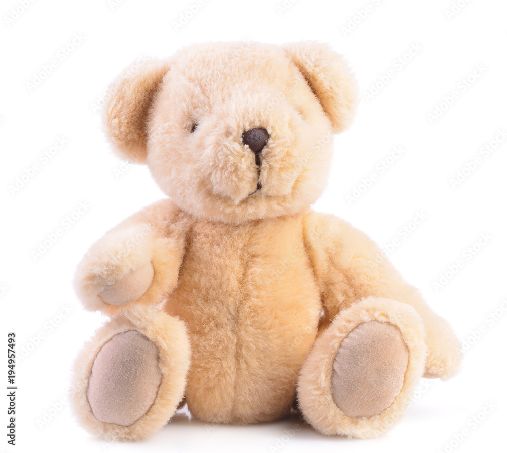 Obraz premium Teddy bear isolated on a white background