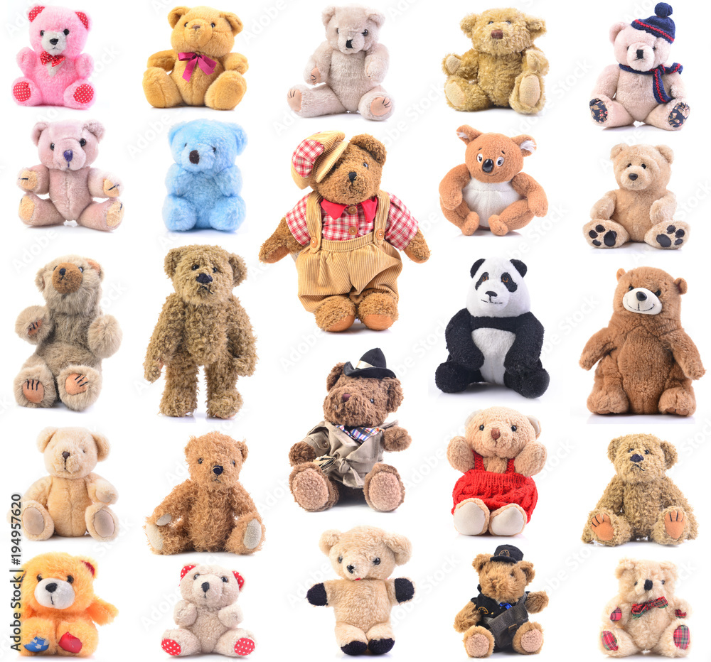 Naklejka premium Teddy bear collection