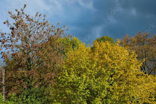 Fototapeta Naklejka Na Ścianę i Meble -  Landschaft