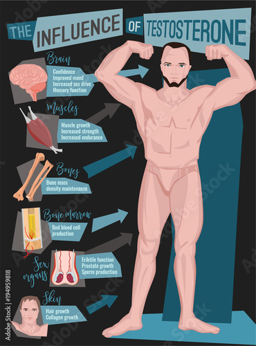 Testosterone Effects Infographics