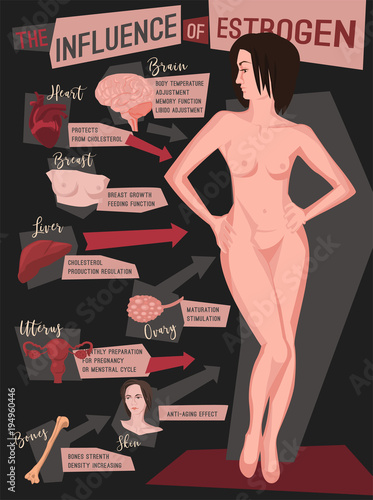 Estrogen Influence Infographic