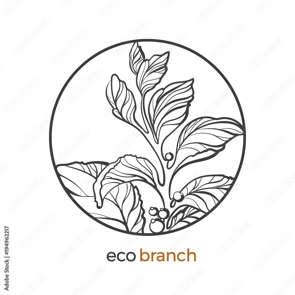 Floral branch with leaf and berry. Vector logo Floral branch with leaf and berry. Vector logo